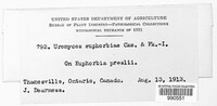 Image Associated With the Occurence